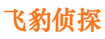 文水市调查公司